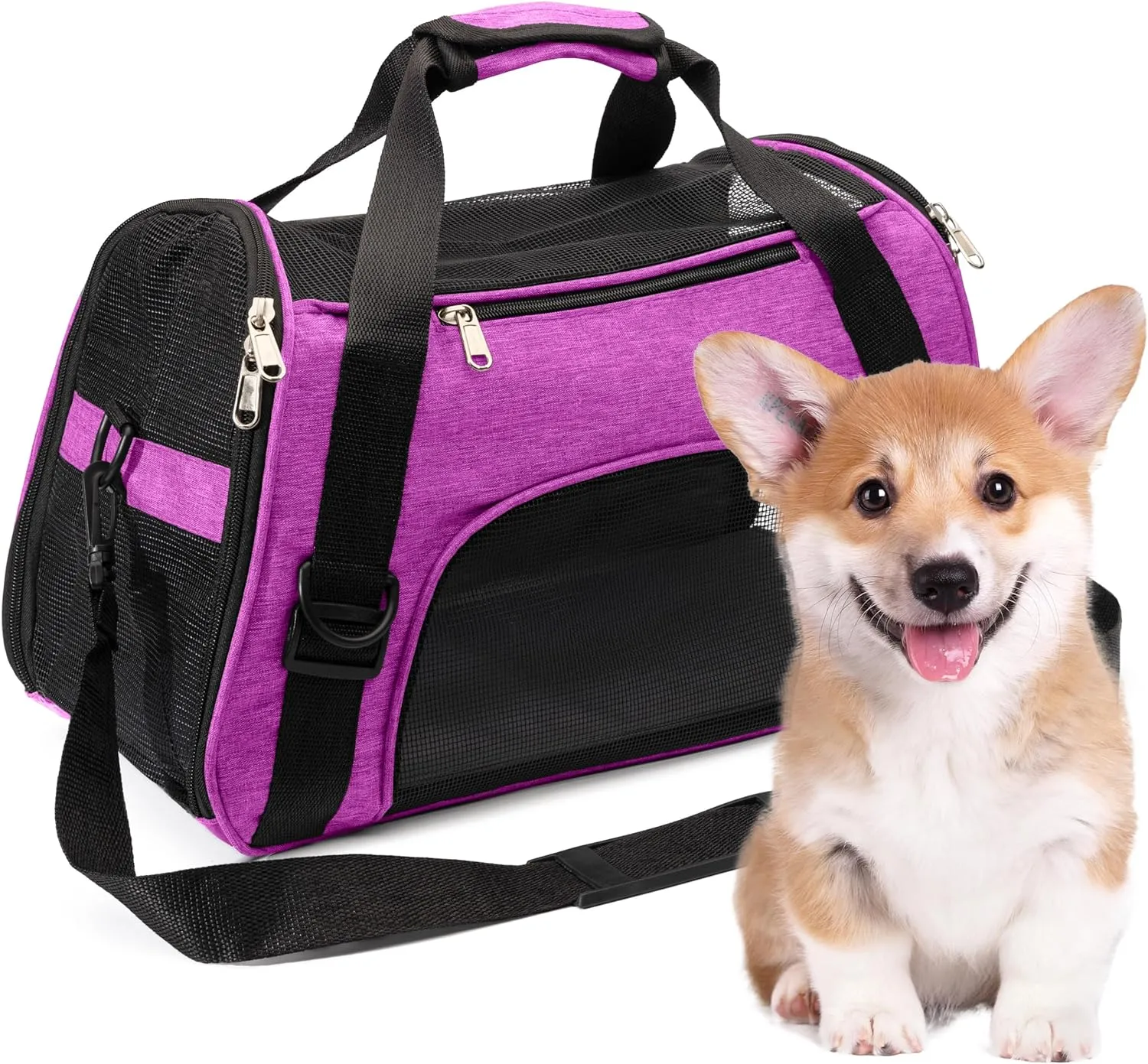 Collapsible Pet Carrier Soft