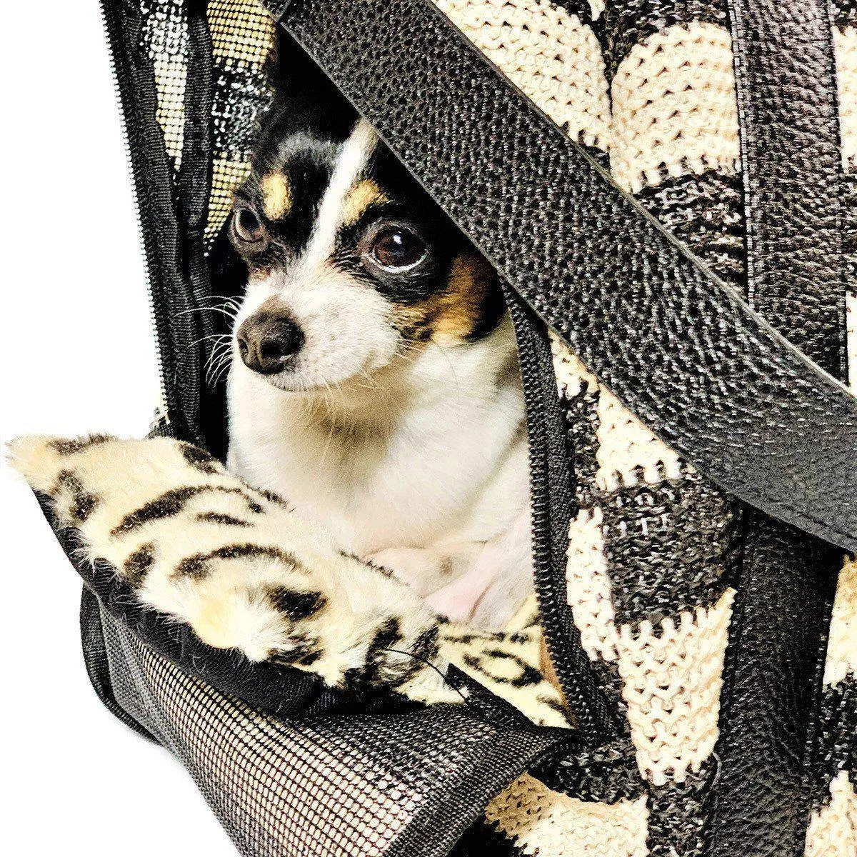 Furrari Convertible Backpack Dog Carrier