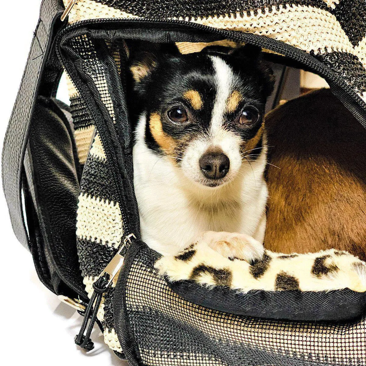 Furrari Convertible Backpack Dog Carrier