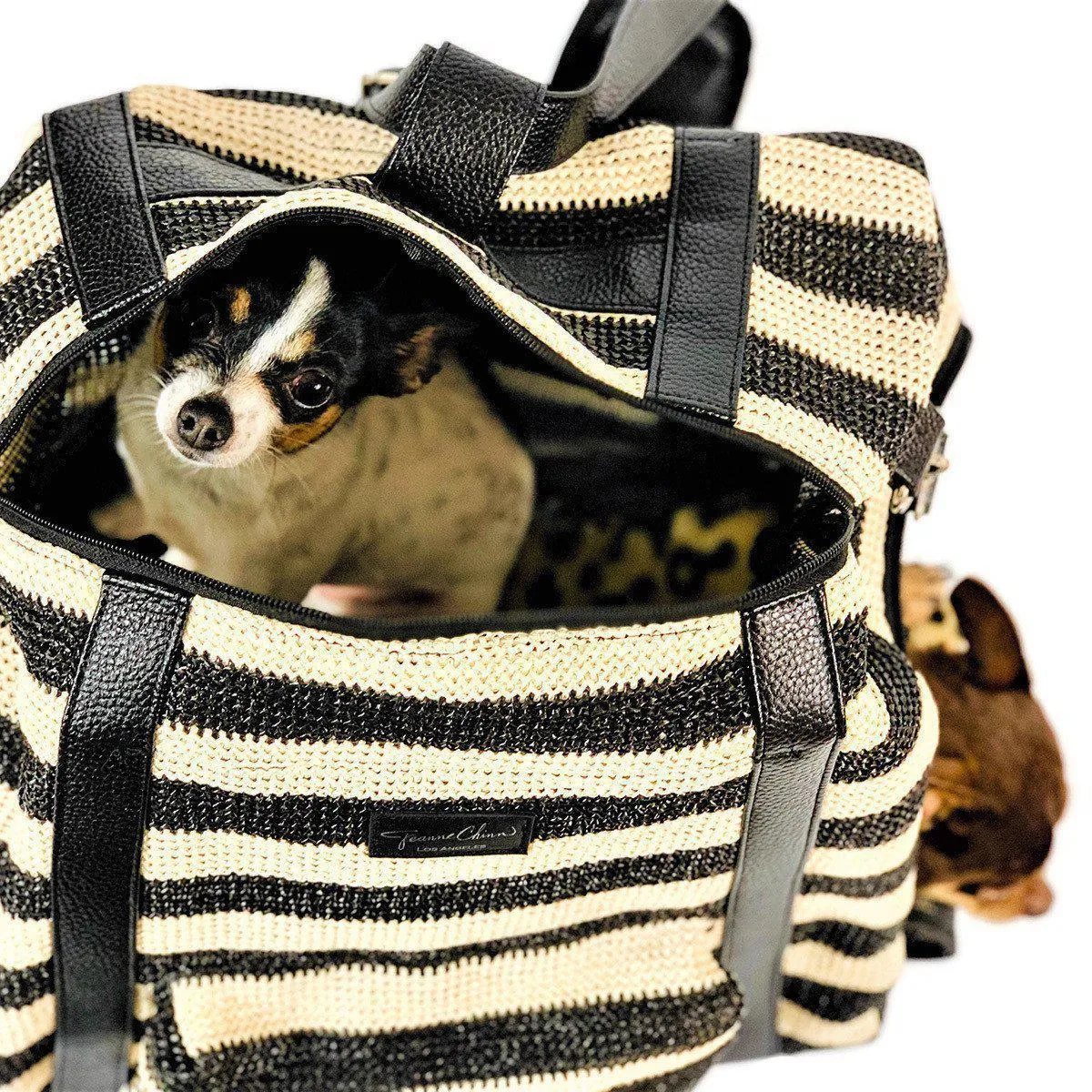 Furrari Convertible Backpack Dog Carrier