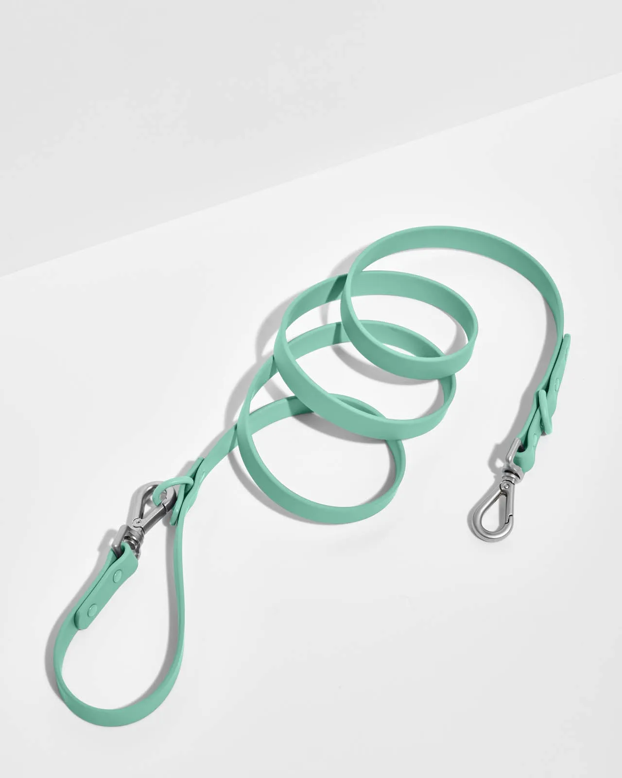 Splendid x Wild One Leash