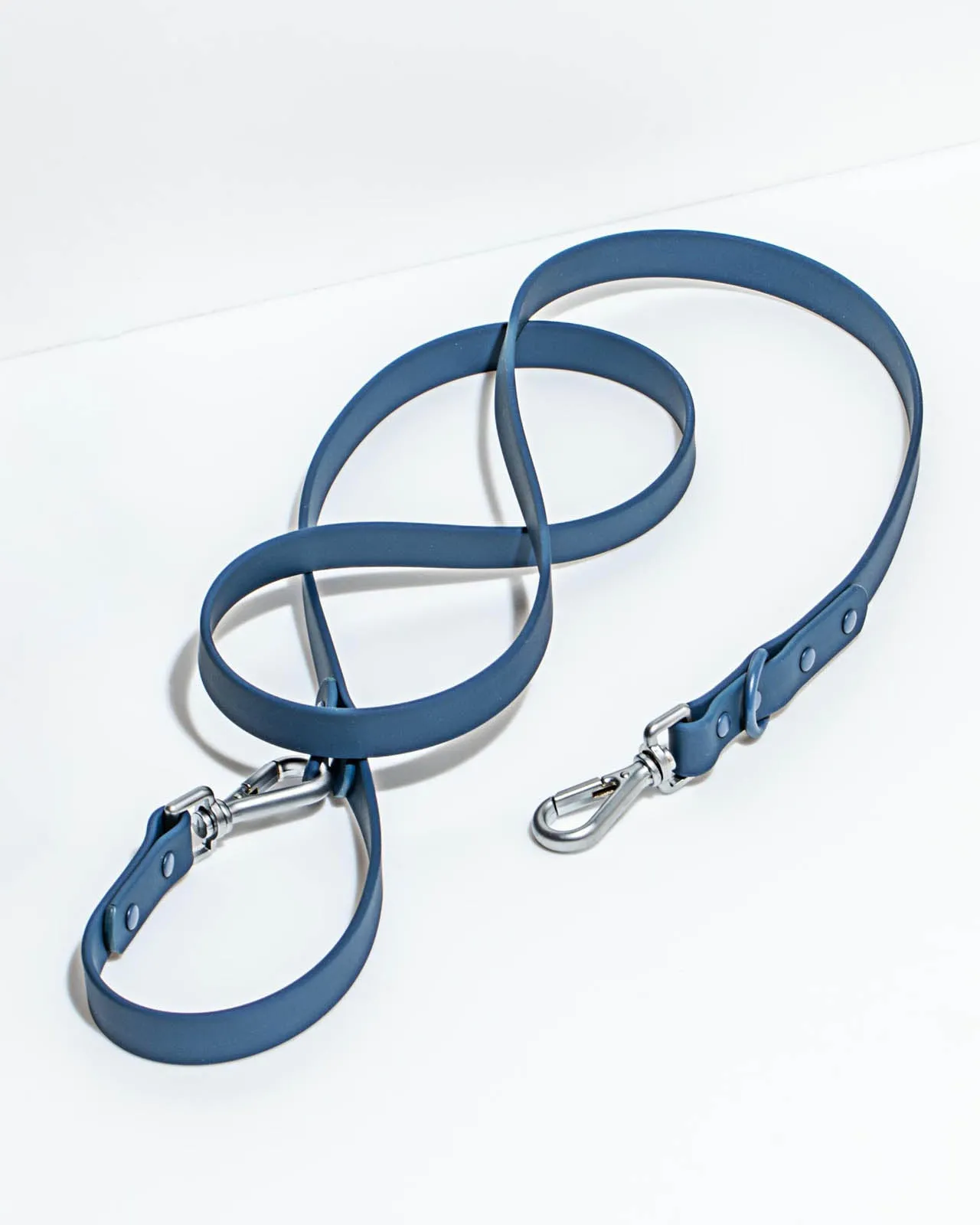 Splendid x Wild One Leash